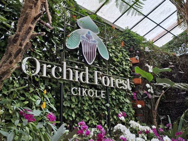 Orchid Forest Cikole : Perjalanan Menuju Keindahan Taman Anggrek di Indonesia