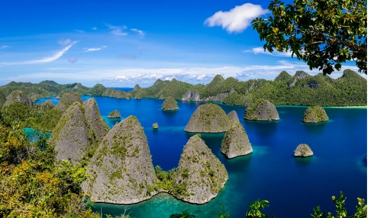 Menikmati Keindahan Alam di Raja Ampat: Surga Tersembunyi di Timur Indonesia