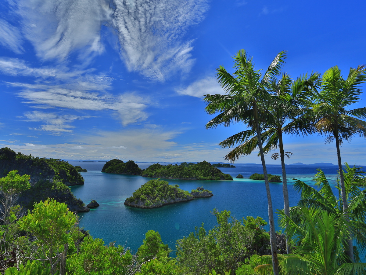 Keindahan Alam di Raja Ampat: Surga Tersembunyi di Timur Indonesia