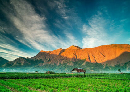 Eksplorasi Keindahan Gunung Rinjani, Lombok