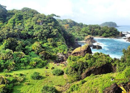 Wisata Alam di Taman Nasional Ujung Kulon: Eksplorasi Surga Tropis