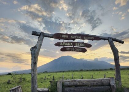 Menikmati Pesona Alam Taman Nasional Baluran