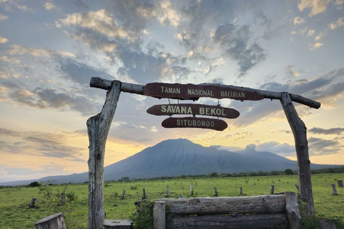 Menikmati Pesona Alam Taman Nasional Baluran