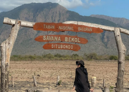 Menjelajahi Keindahan Alam Taman Nasional Baluran, Jawa Timur