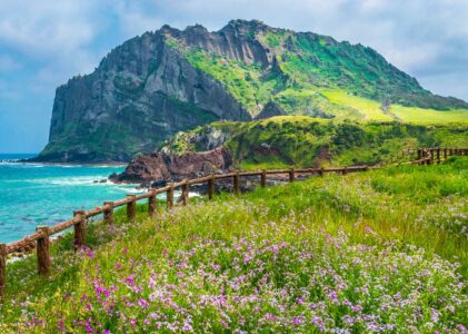 Wisata Korea Selatan: Menjelajahi Keindahan Pulau Jeju