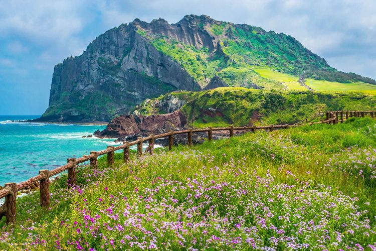 Wisata Korea Selatan: Menjelajahi Keindahan Pulau Jeju